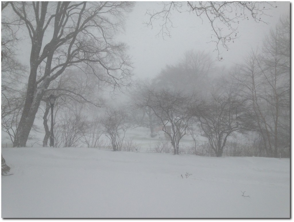 Central Park looking beautiful in the snow.